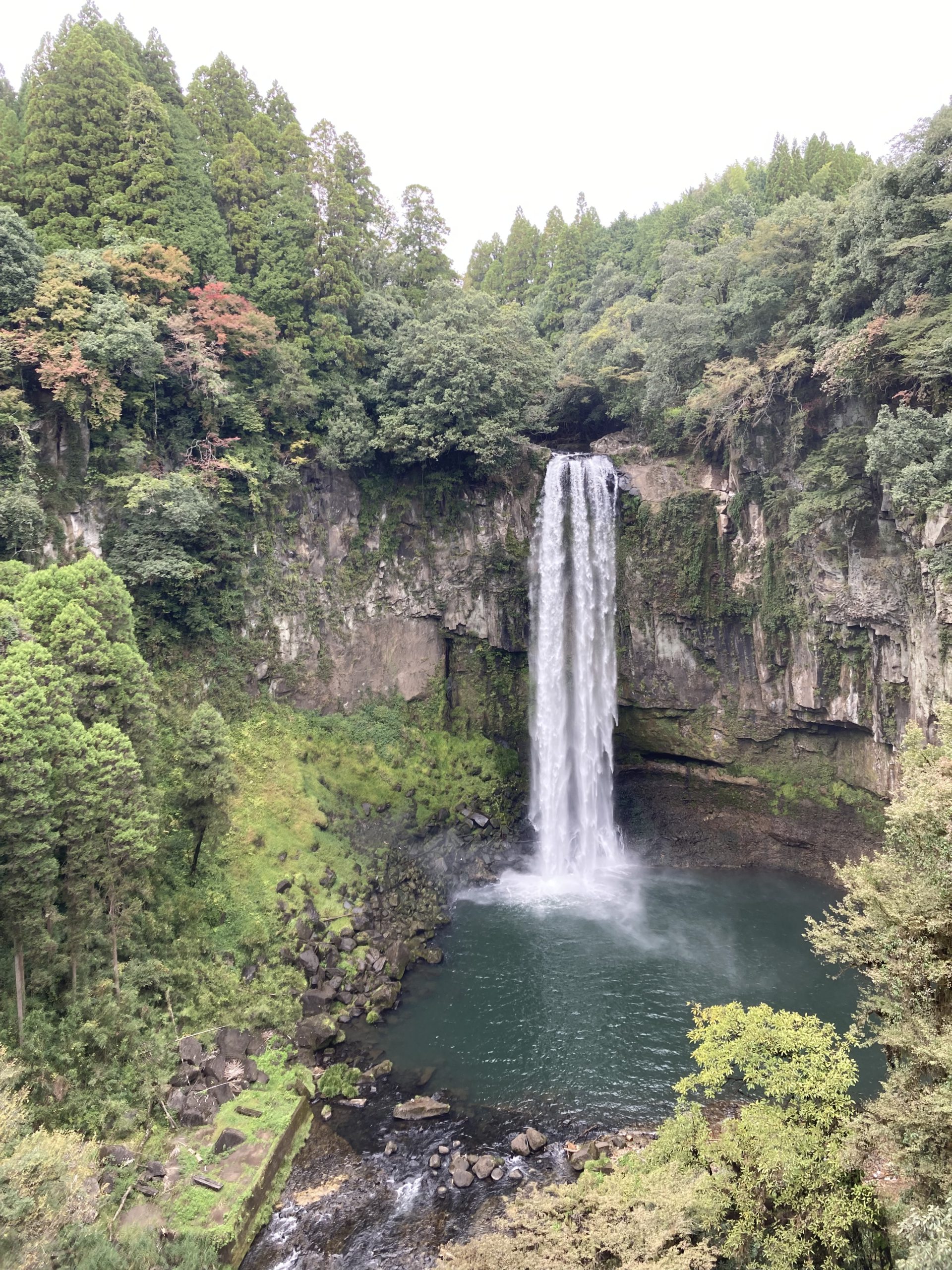 秋の楽しみ