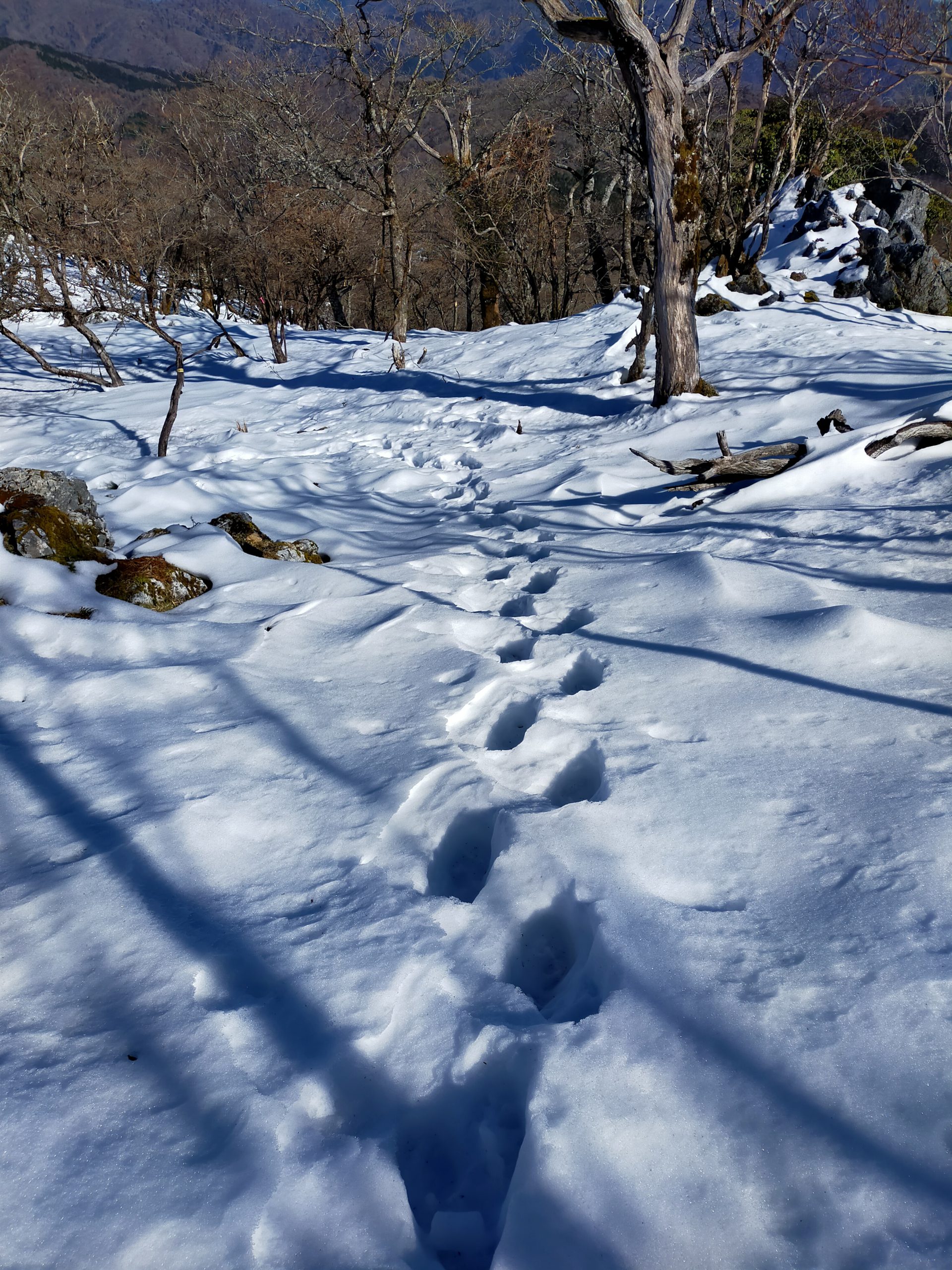 寒くなりましたね❄