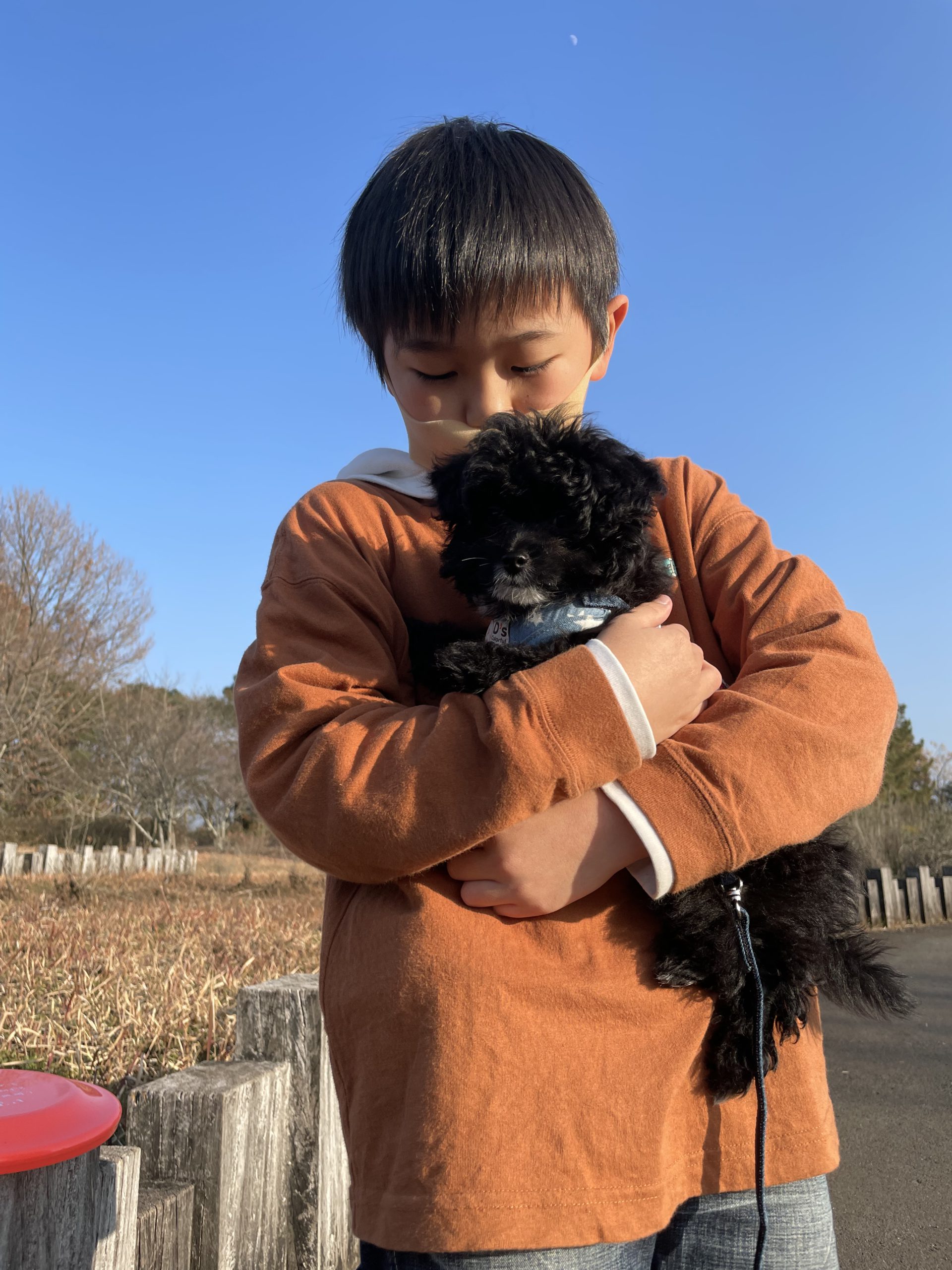 母ちゃん、犬飼いたい