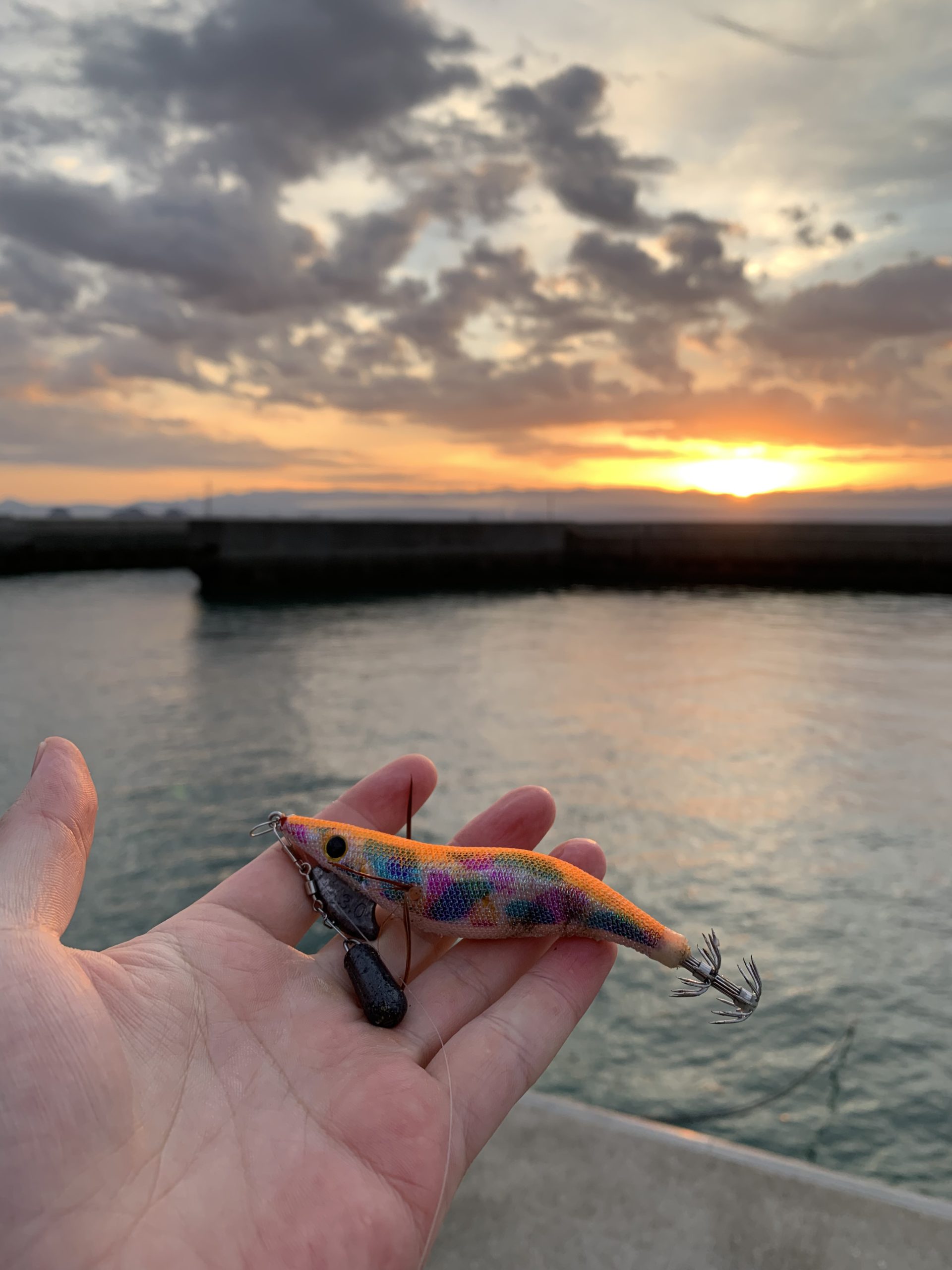 シーズン到来🦑