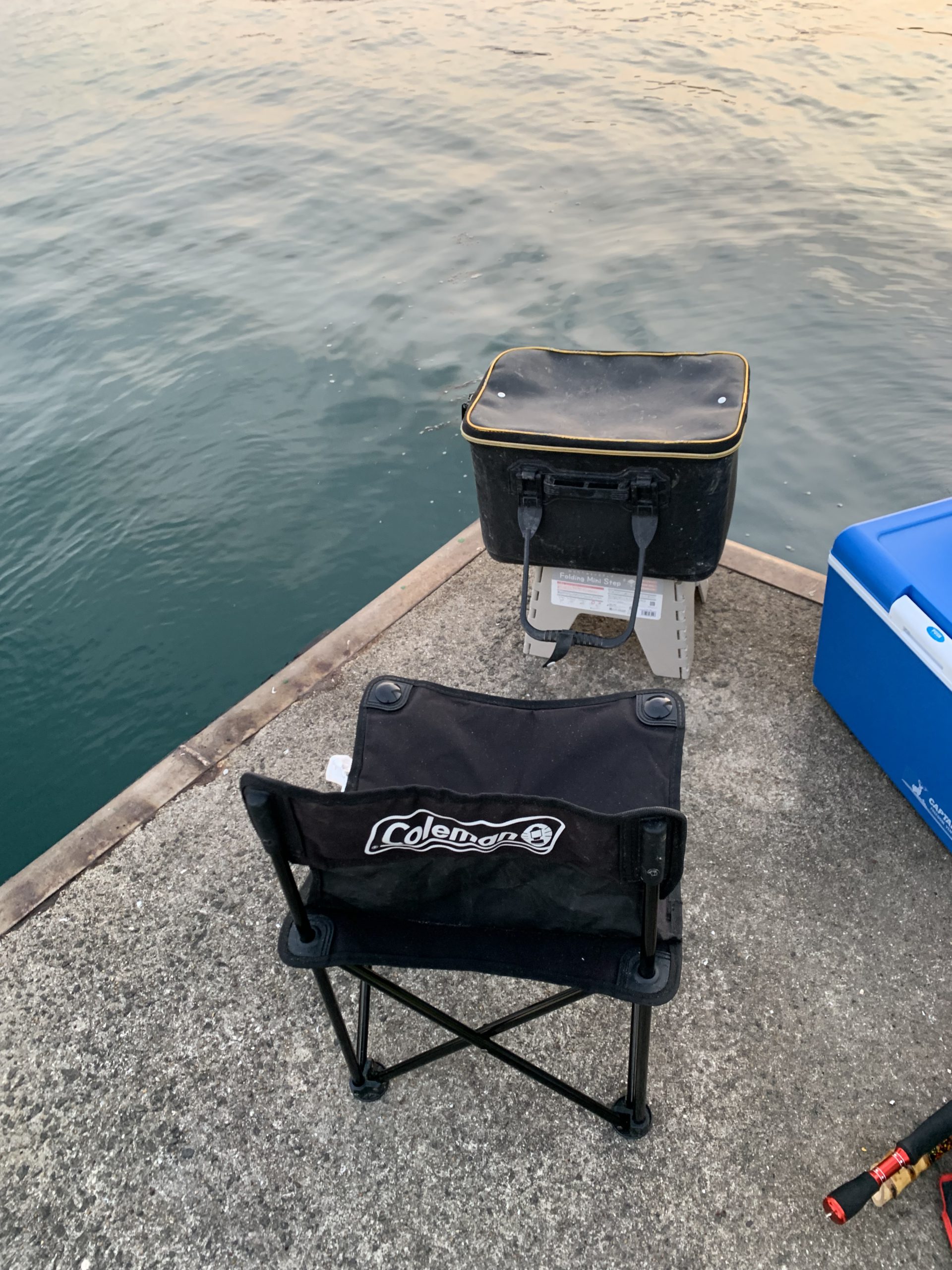 補高バッカン🐟