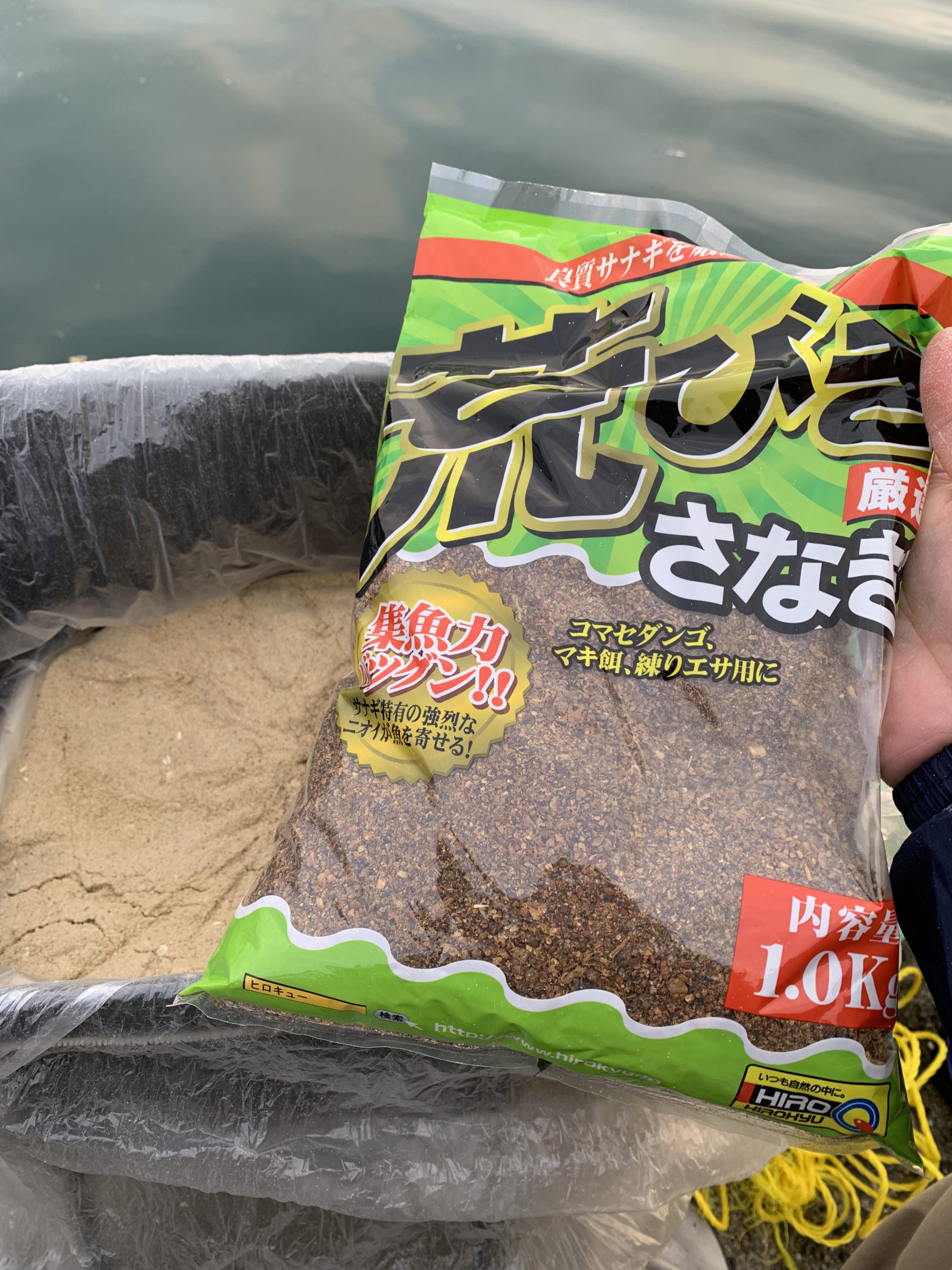 5月になりました✨🐟