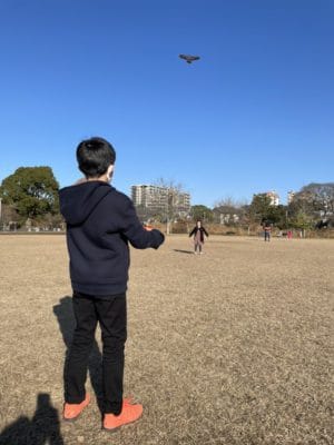 雑学✨