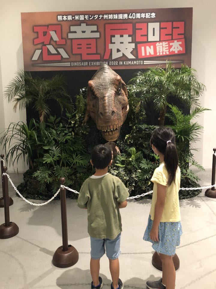 恐竜🦕