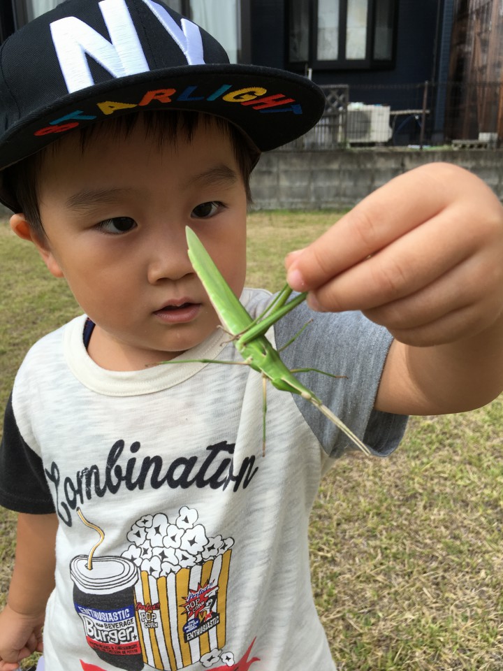 中秋の名月