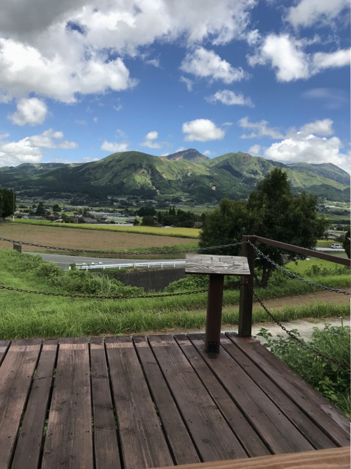 南阿蘇🌳✨