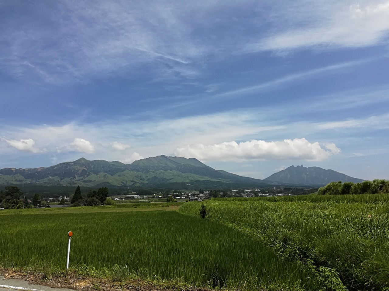 暑い日が続きますね…☀️