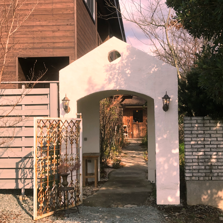 平日lunch🌲