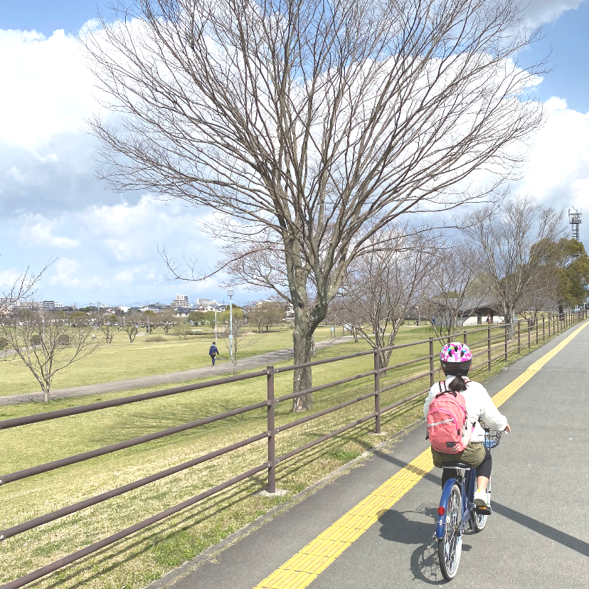 ぽかぽか日和