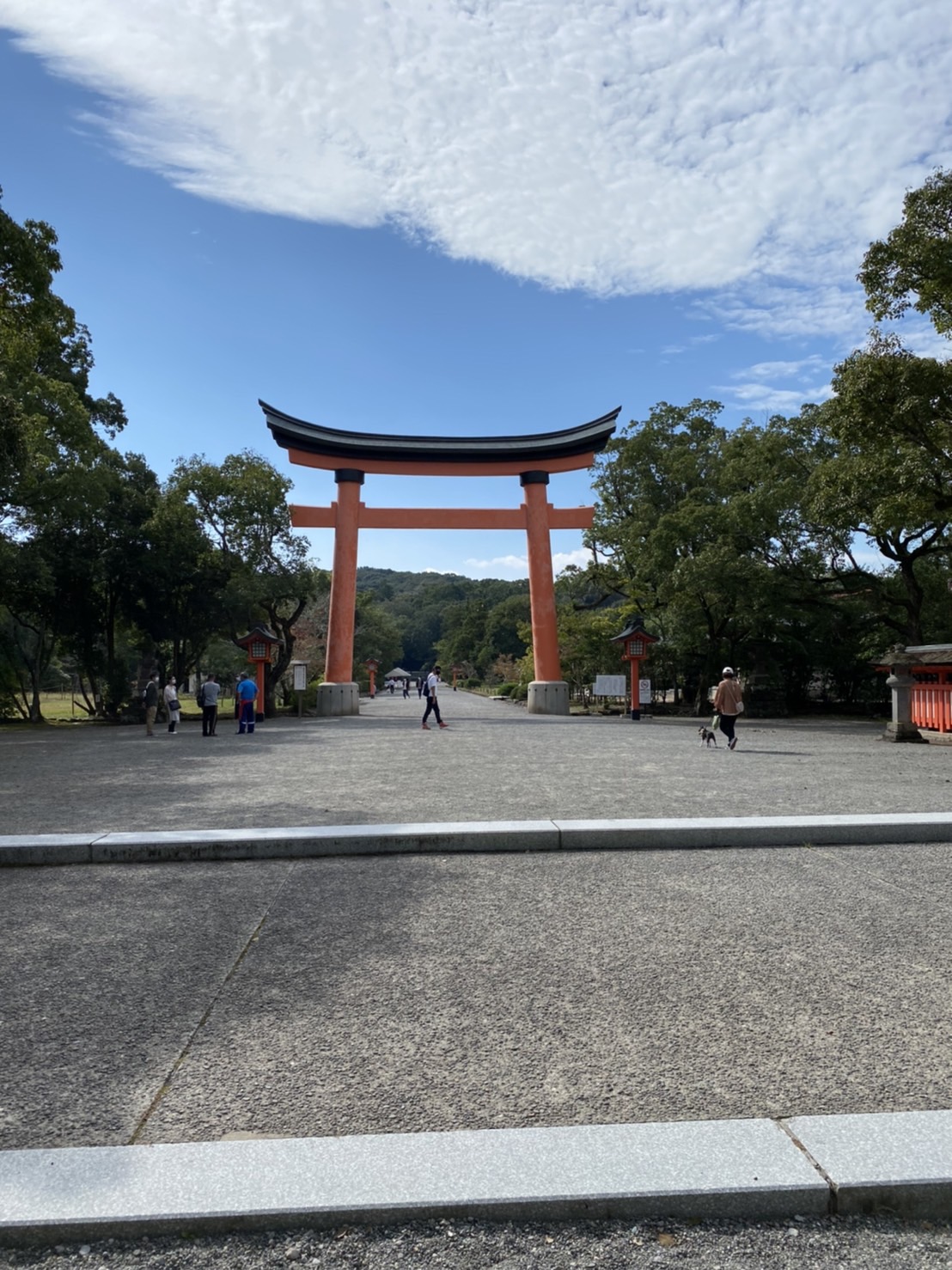 ⛩宇佐神宮⛩