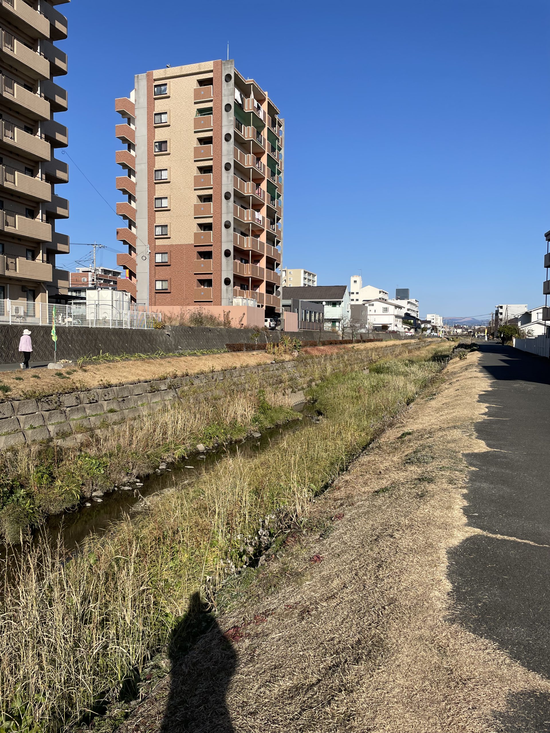 晴天日の散歩道