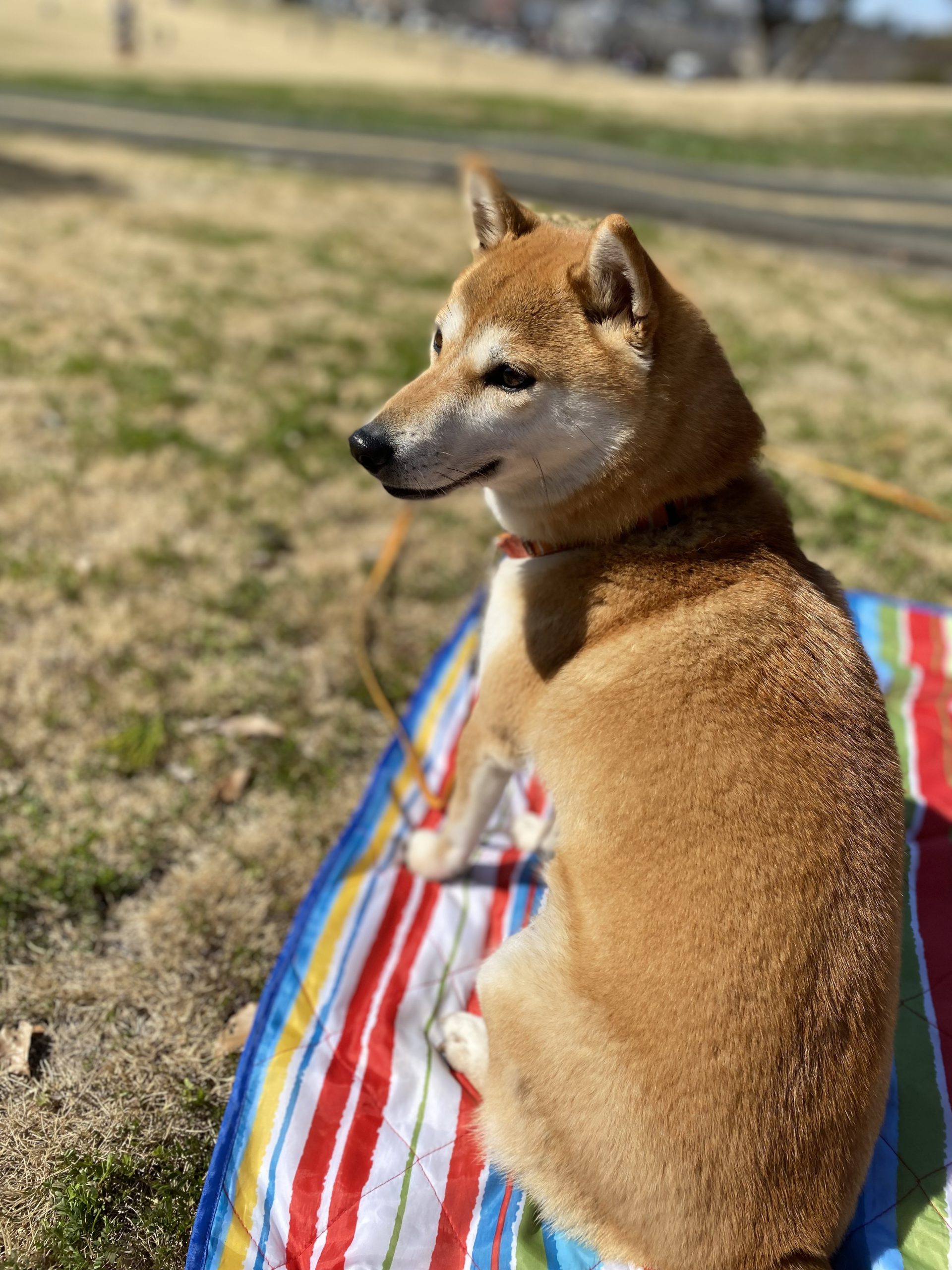 はじめまして