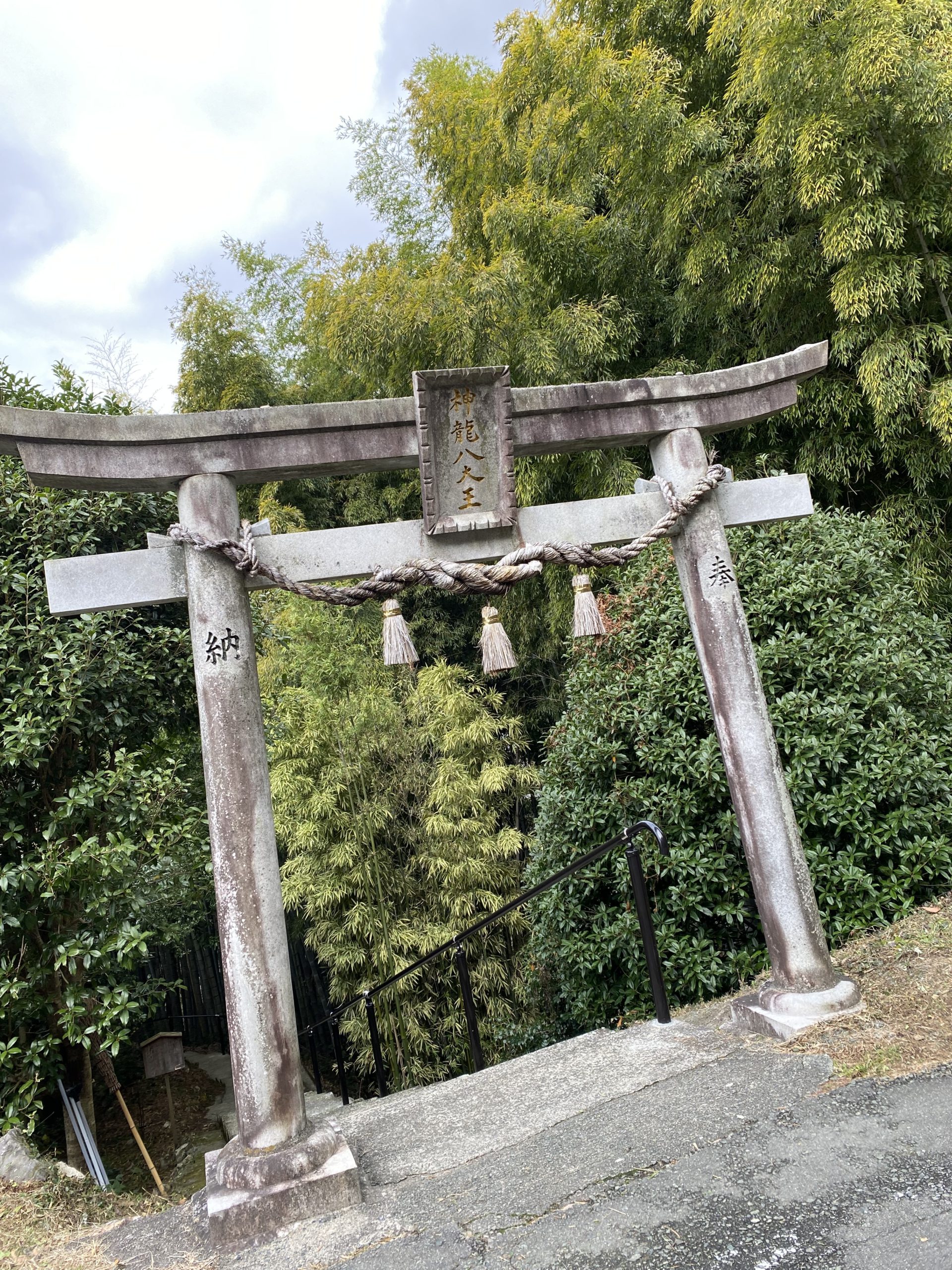 菊池・山鹿巡り✨✨