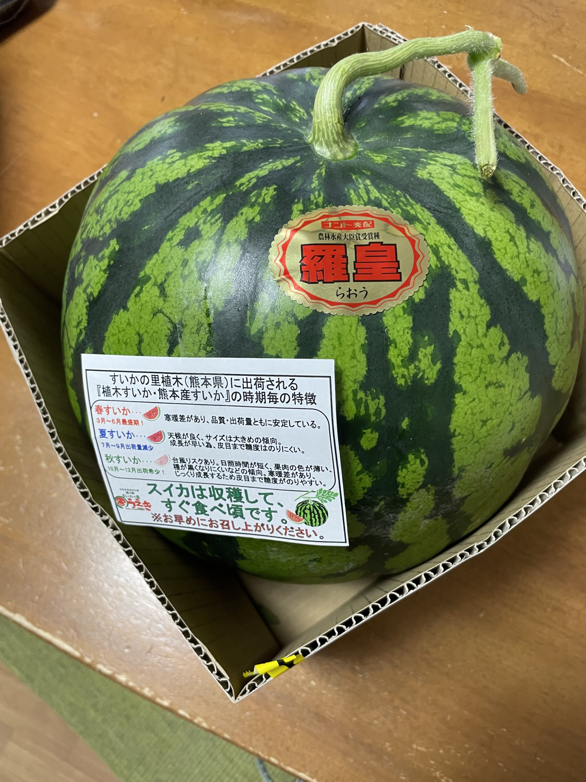 お初⋆。˚✩