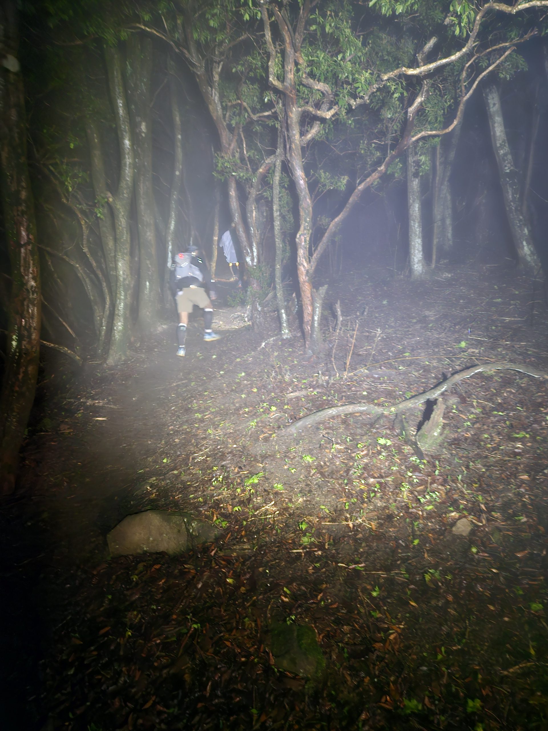 休日はもっぱら趣味活動⛰️