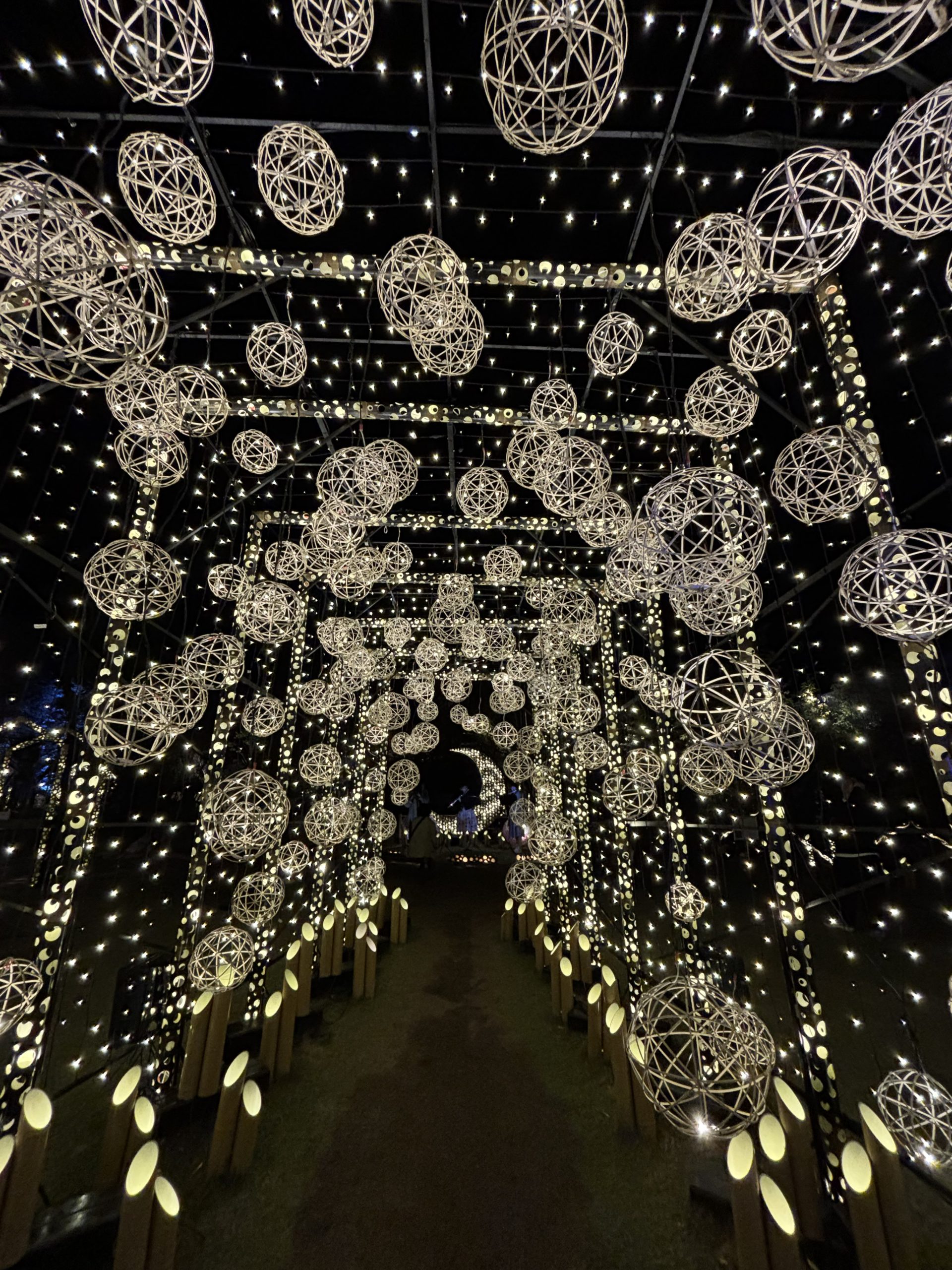 桜町の竹あかりに行ってみた💡
