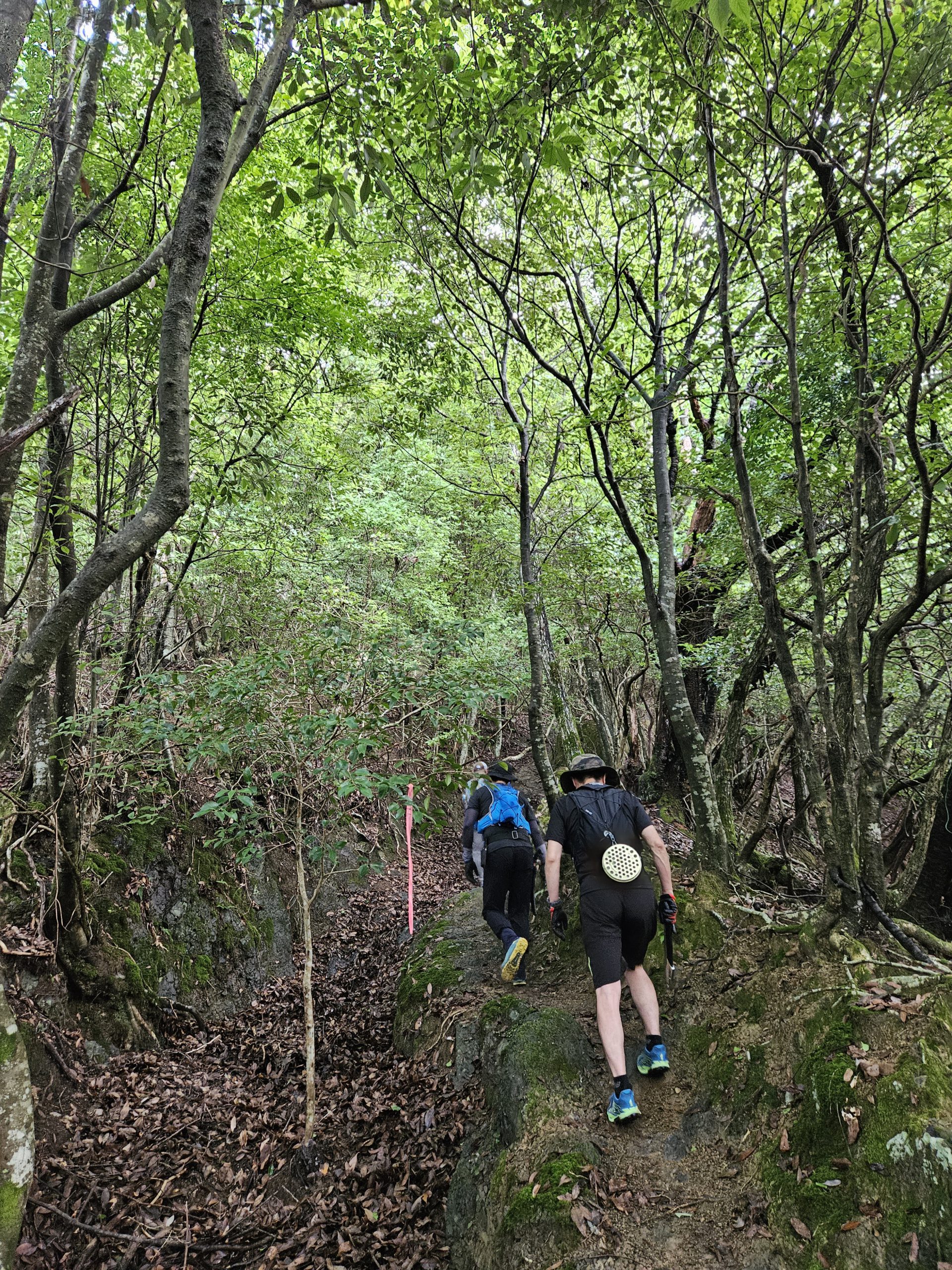 せっせと山活⛰️