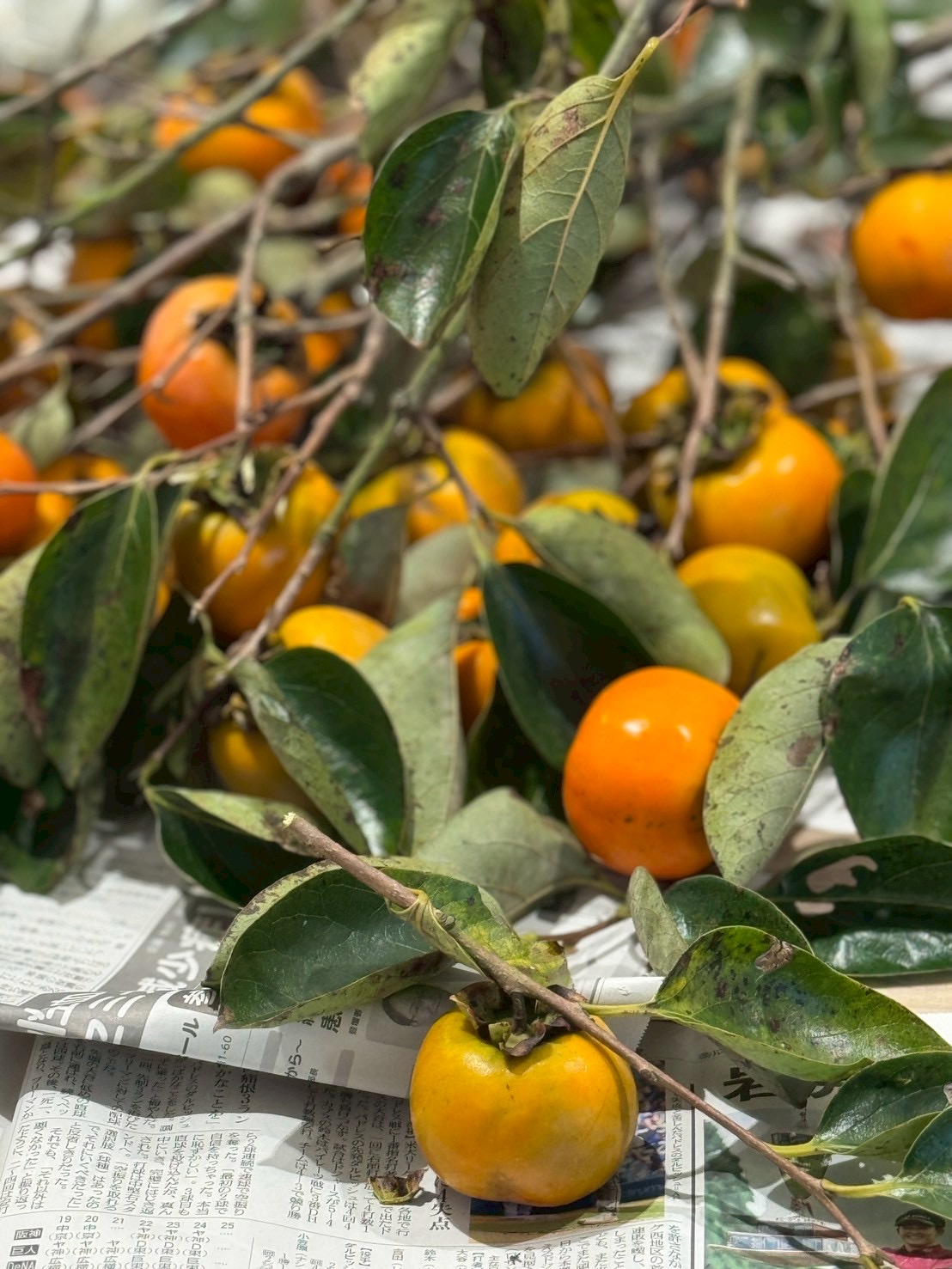 🍁秋らしく🍁