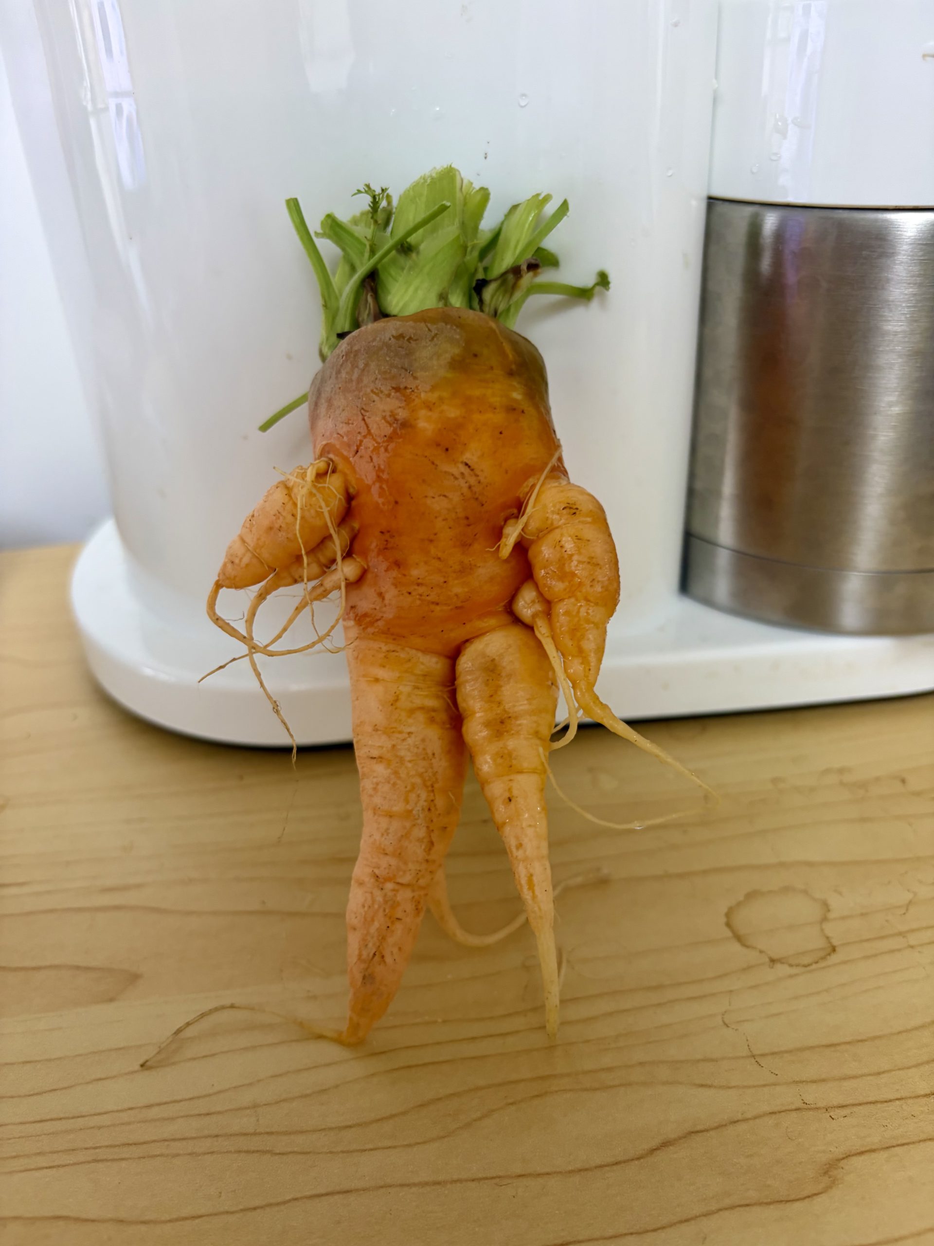 人………………………………参🥕