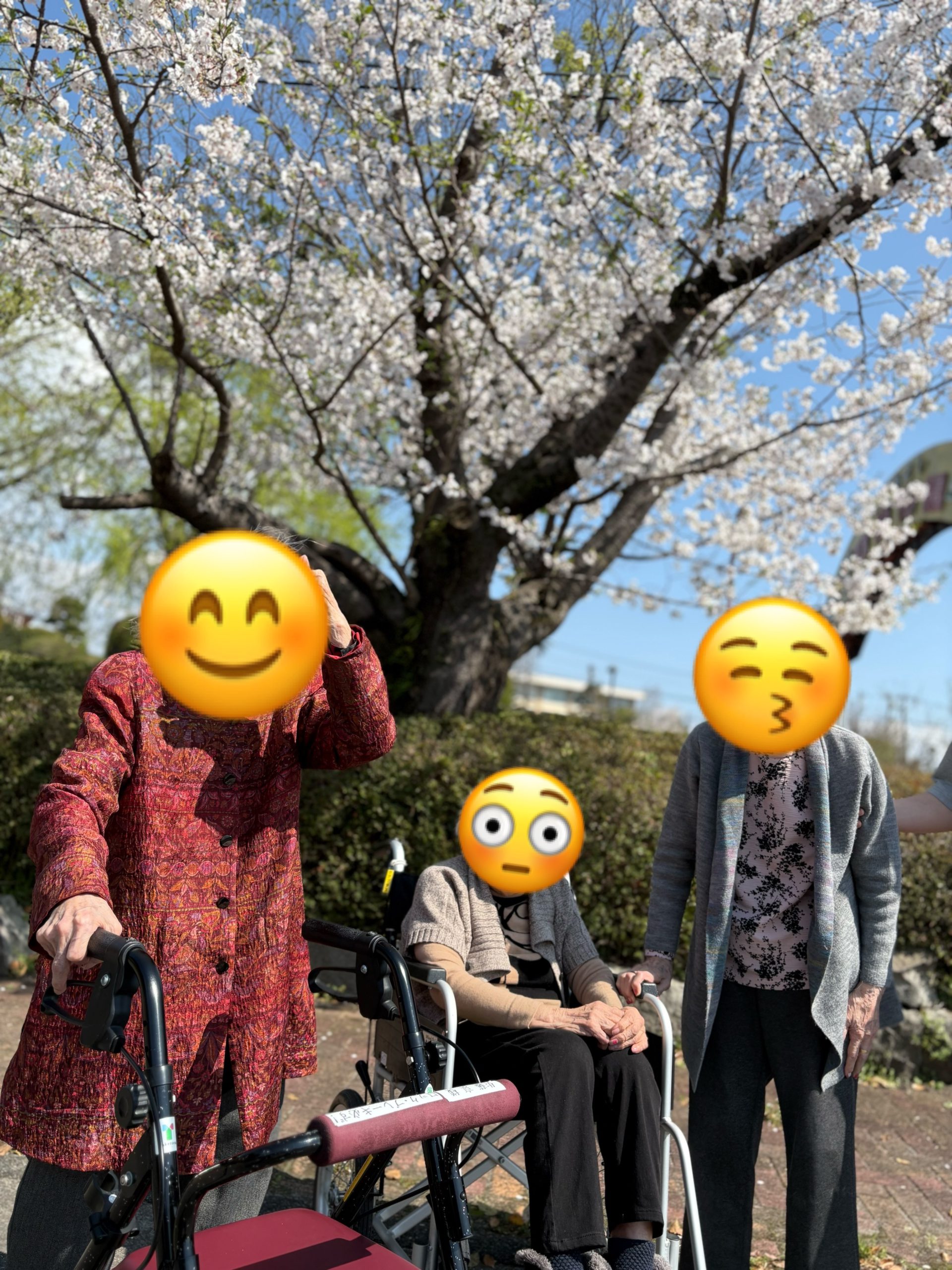 研修終了‼️そして勉強会を開催します‼️